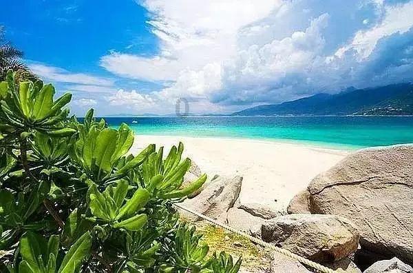 天津Z4线预计2024年北塘站以北全部贯通