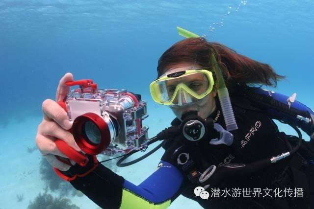 中国空手道协会产生新一届主席 今年计划举办20场赛事活动