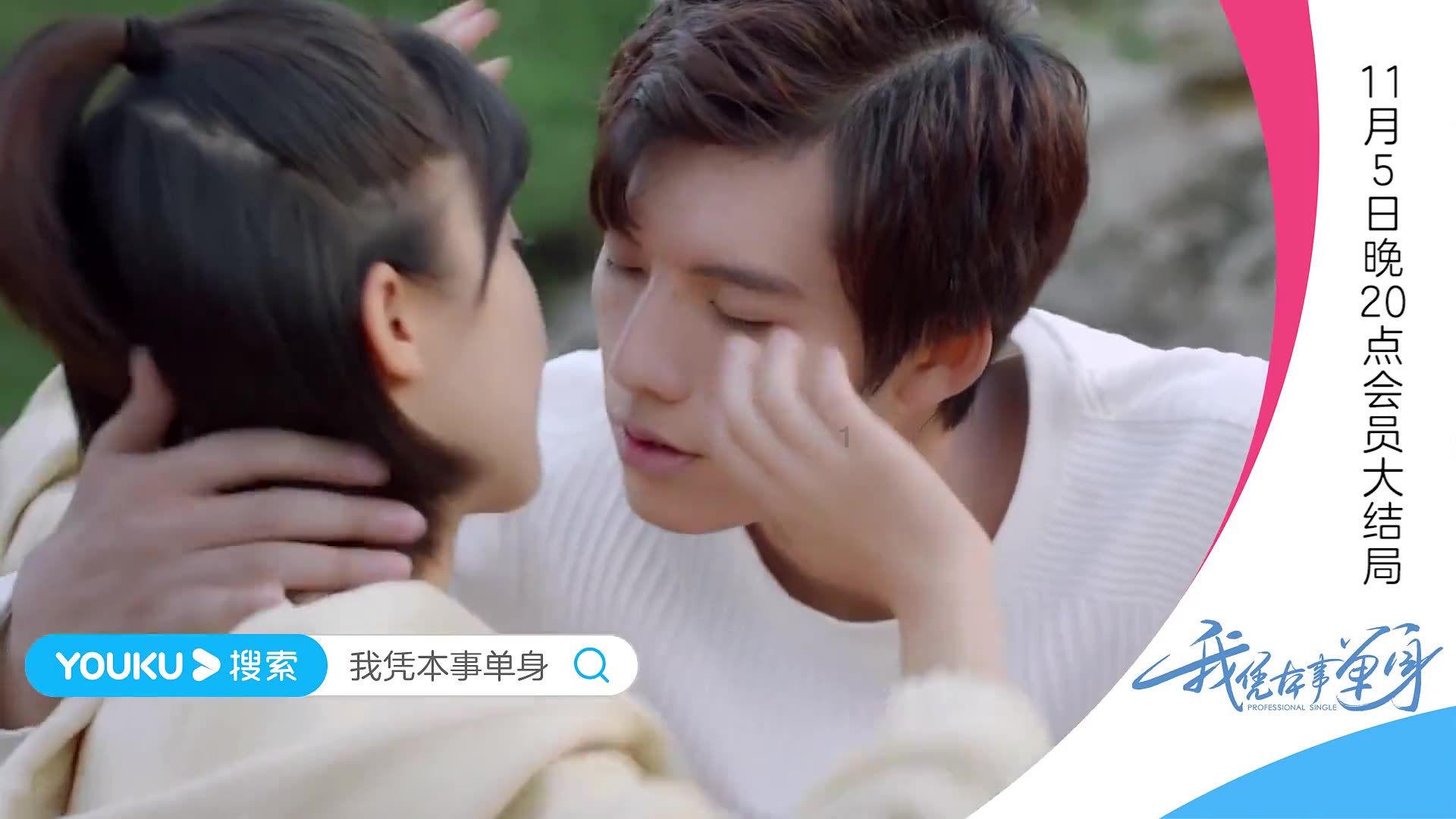 彼得比尔特379拼图